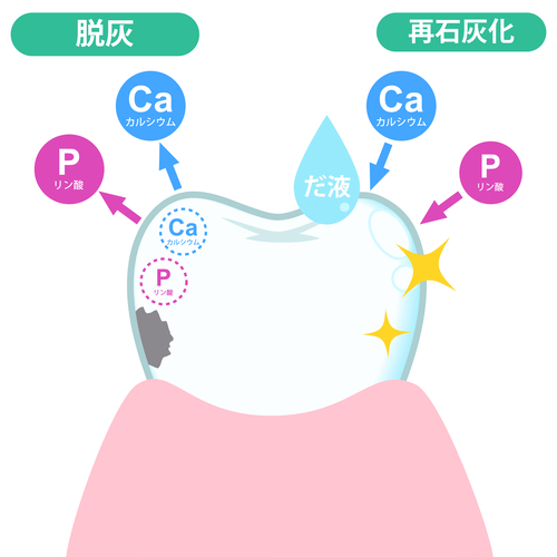 京橋 銀座みらい歯科｜ブログ｜フッ素って何？｜歯を丈夫にする栄養素